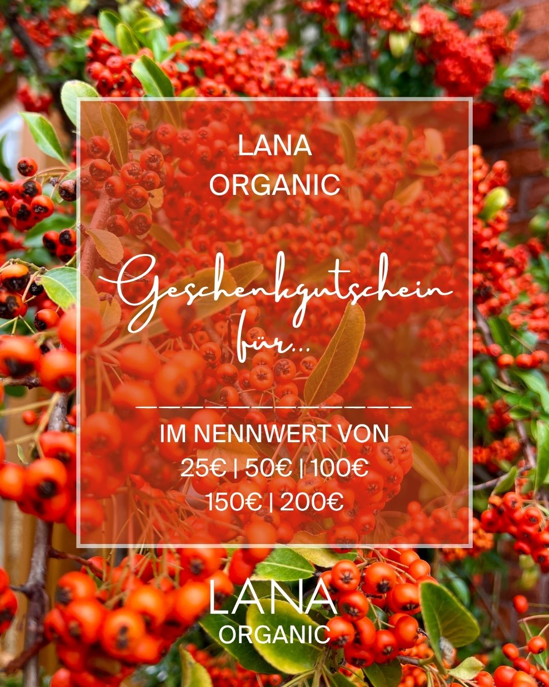 LANA Geschenkgutschein , , Geschenkgutschein , LANA Organic - Moderne ökologische Kleidung